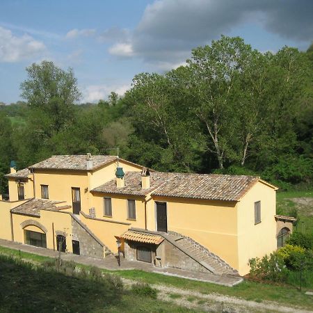 Alloggio Turistico Mooneyes Apartment Castiglione In Teverina Екстериор снимка