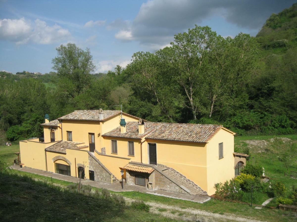 Alloggio Turistico Mooneyes Apartment Castiglione In Teverina Екстериор снимка