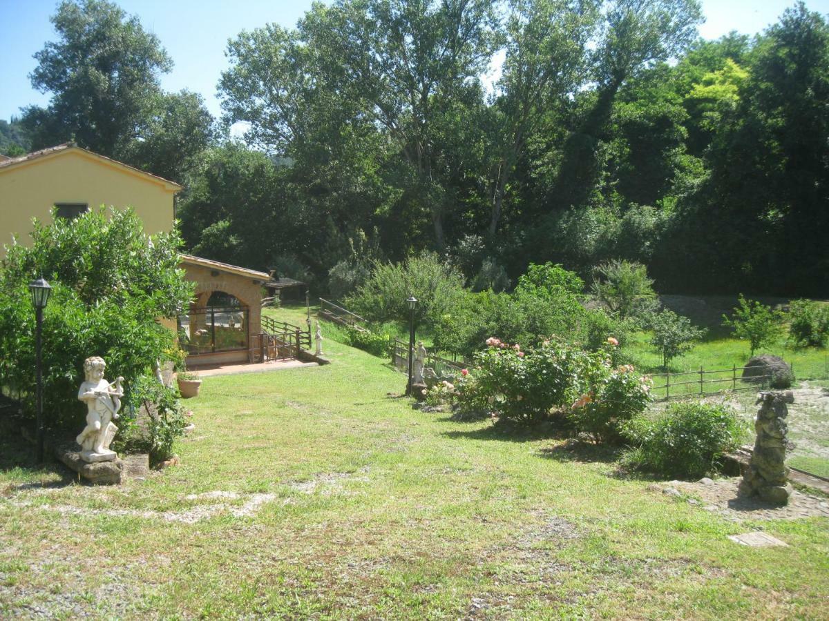 Alloggio Turistico Mooneyes Apartment Castiglione In Teverina Екстериор снимка